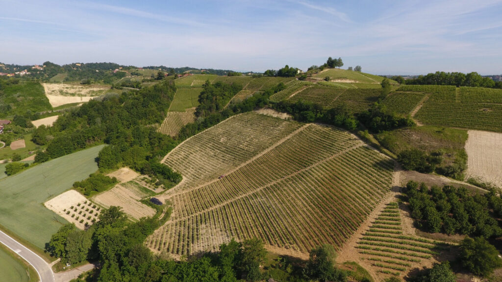 5_Vigne_Ca-Rossa_EO-1024x576 Cantina Ca Rossa nel distretto EustachiOra