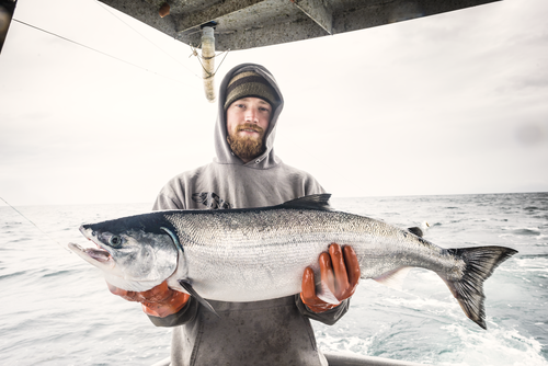 201401-Nathan-Pollock-Salmon-CM-Web-Small Alaska Seafood Month: un mese di tesori ittici